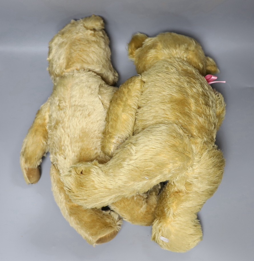 Two early post war English Teddy bears, 54 and 57 cm high